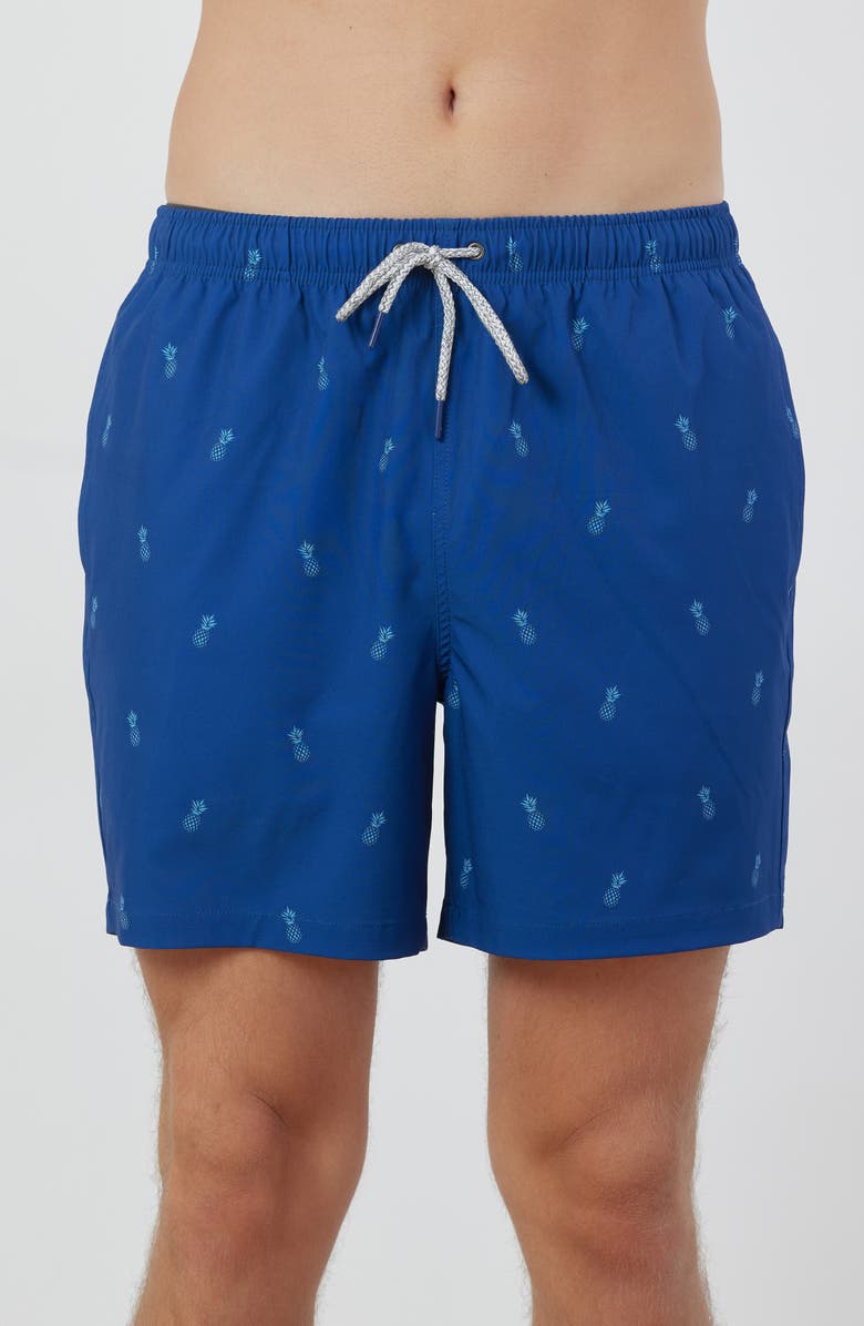 Rainforest Pineapple Swim Trunks, Main, color, 