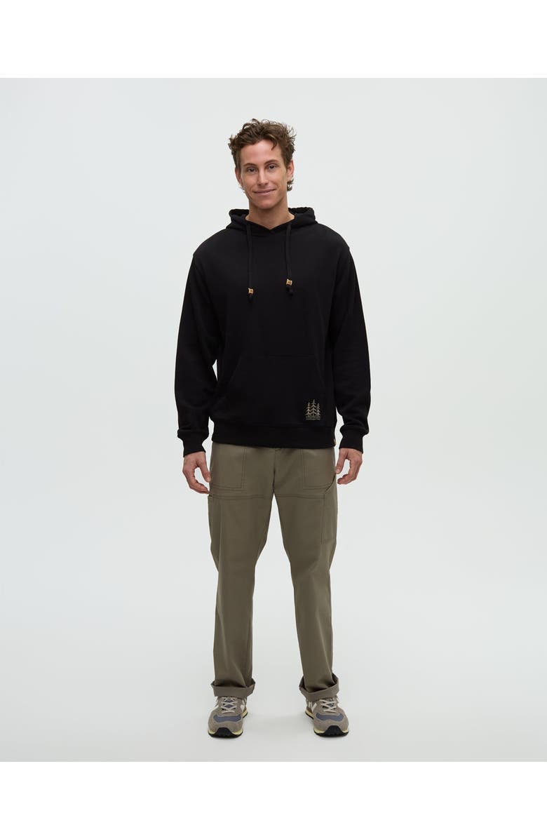 tentree Getaway Relaxed Hoodie, Alternate, color, Meteorite Black/Light Moss