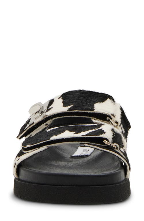 Shop Steve Madden Mona Sandal In Black/white Calf Hair