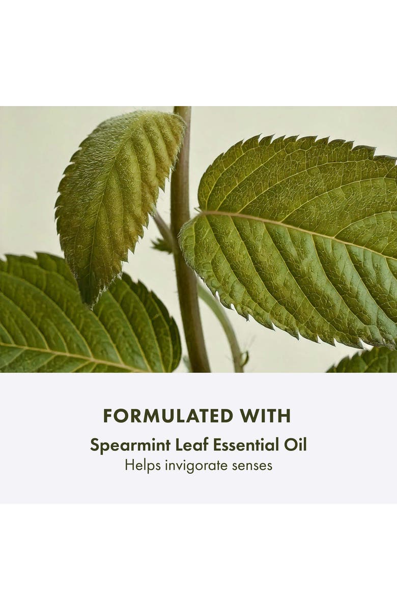 Origins Checks and Balances<sup>™</sup> Frothy Face Wash, Alternate, color,