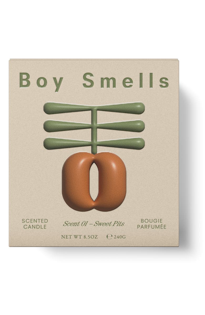 Boy Smells Farm to Candle - Sweet Pit Scented Candle, Alternate, color,
