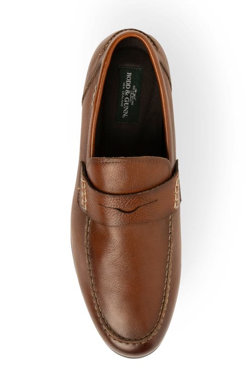 Rodd & Gunn St James Penny Loafer In Cognac