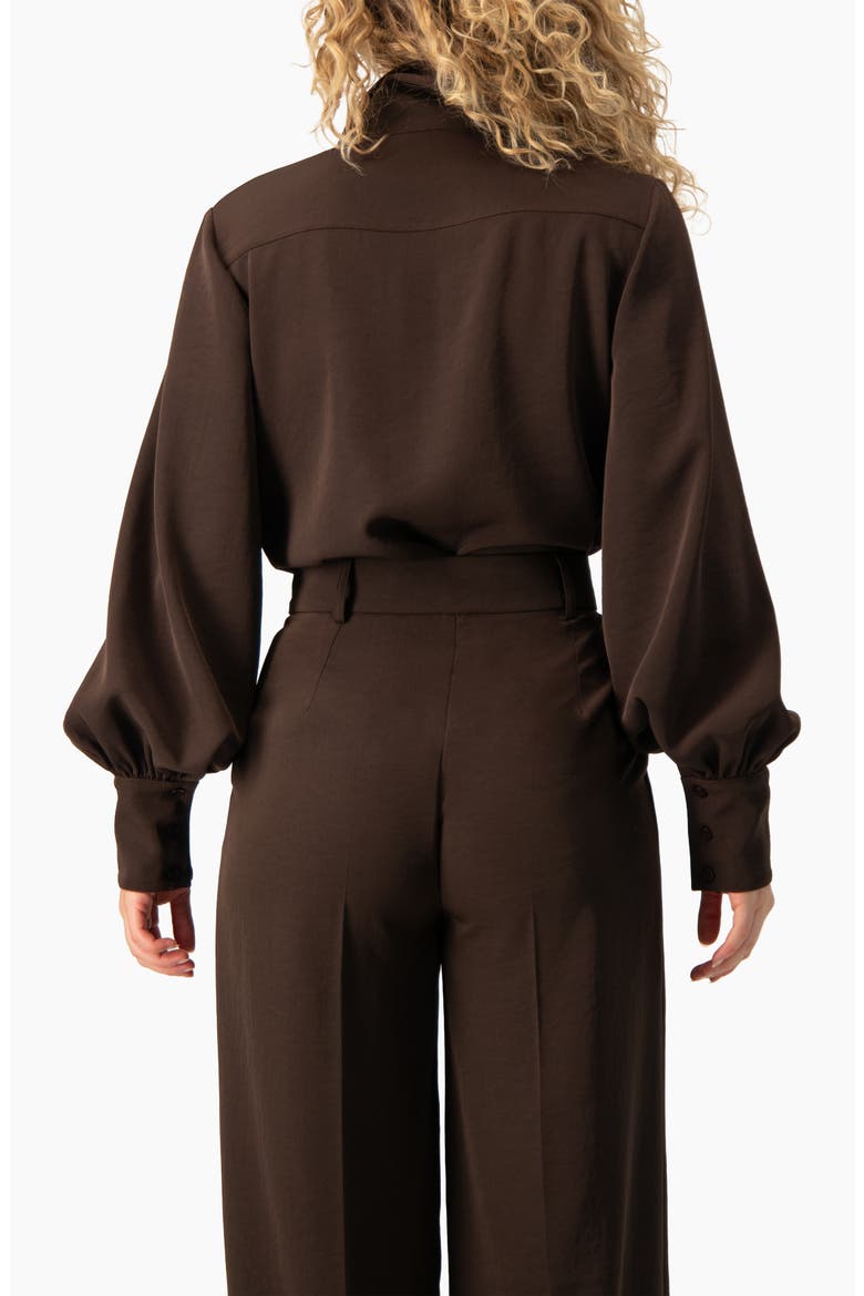 Long-Sleeve Puff-Sleeve Point-Collar Button-Front Shirt, Alternate, color, Brown
