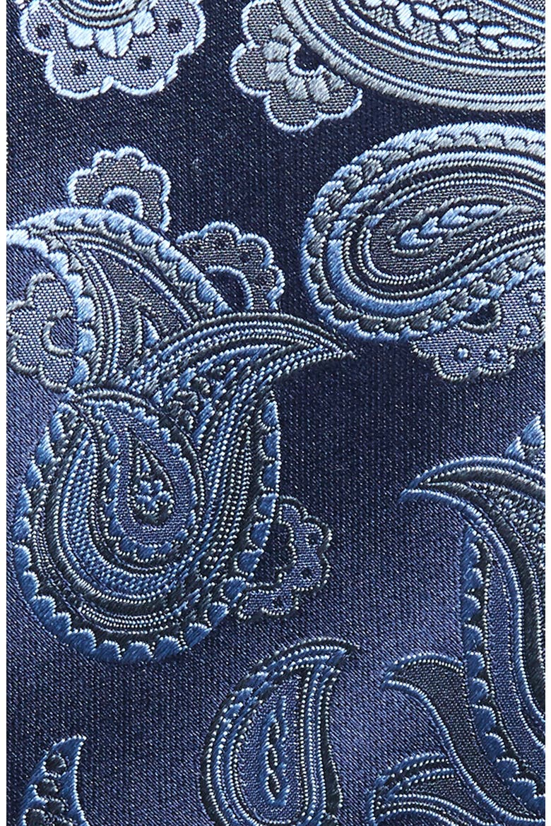 Paisley Silk Tie, Alternate, color, BLUE