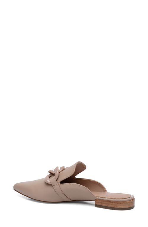 Linea Paolo Adora Pointed Toe Mule In Brown