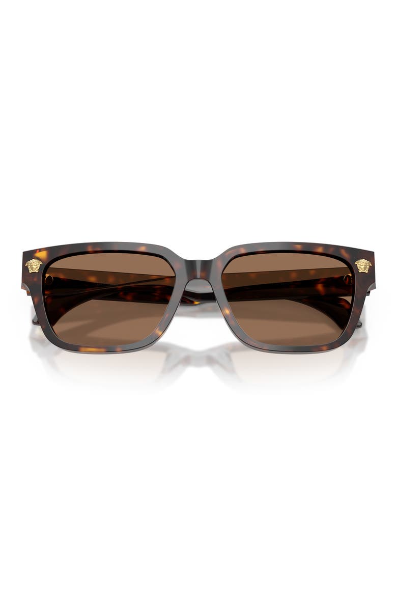 56mm Rectangular Sunglasses, Alternate, color, HAVANA / DARK BROWN