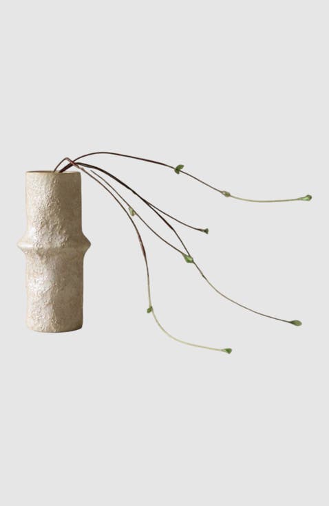 Green Hanging Willow Branch
