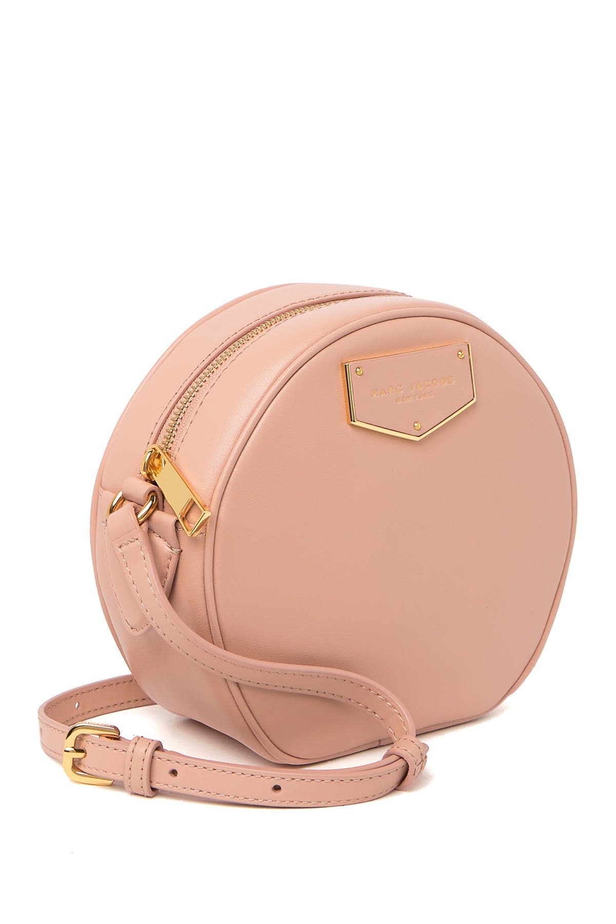 Voyager Circle Crossbody Bag, Alternate, color, BALLET