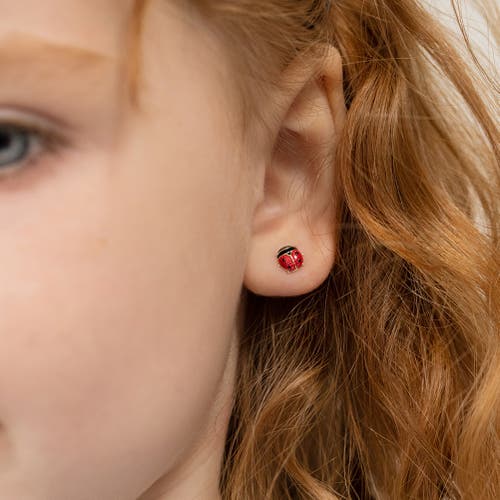 Shop In Season Jewelry 14k Garden Ladybug Earrings In Red
