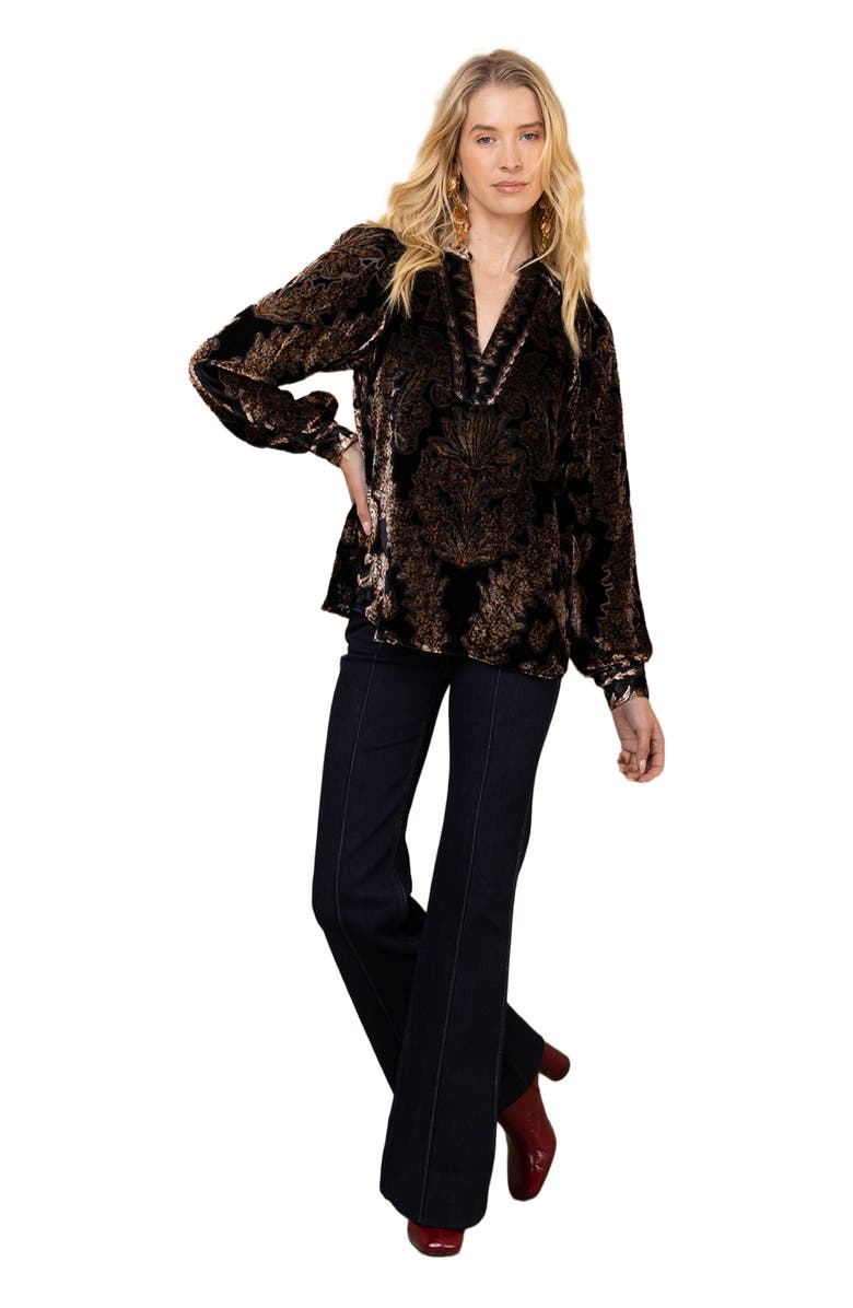 Hale Bob Kailey Velvet Top, Main, color, Black