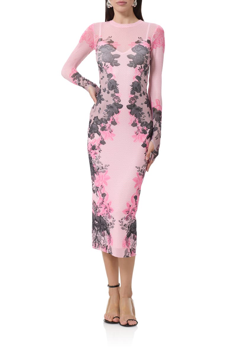 Ashland Print Long Sleeve Mesh Midi Dress, Main, color, LACE NET