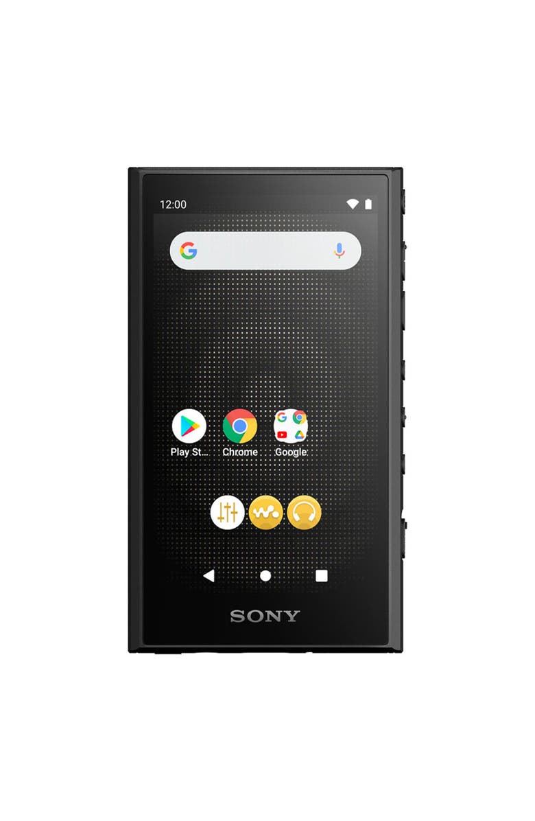 Sony NW-A306 Walkman A Series Hi-Res Digital Music Player, Main, color, 