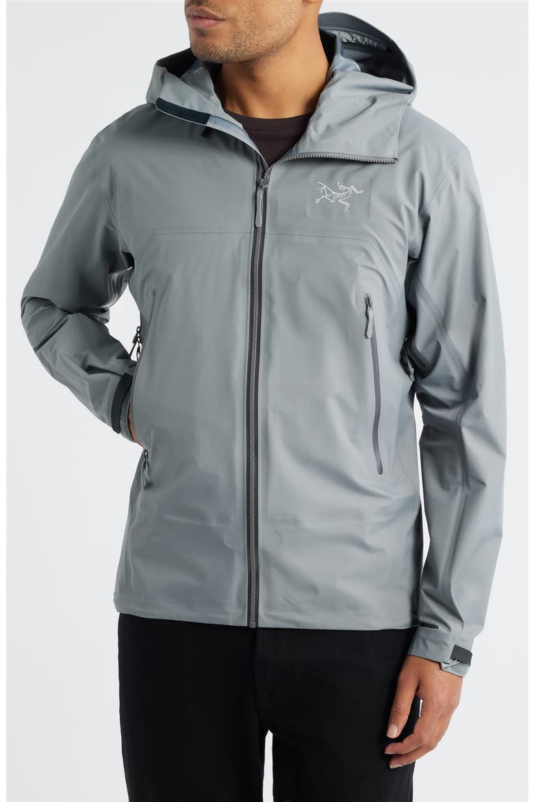 Beta SL Hybrid Gore-Tex® Hooded Jacket, Alternate, color, VOID