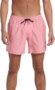 Quiksilver Everyday Volley Swim Trunks