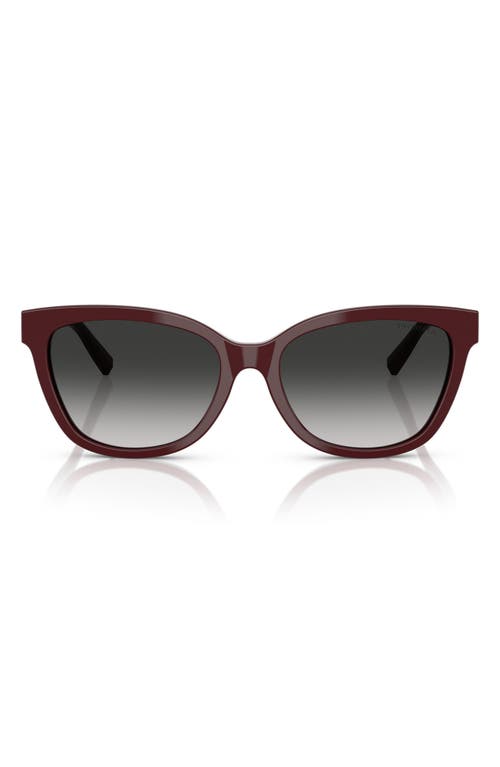 Tiffany & Co . 55mm Gradient Cat Eye Sunglasses