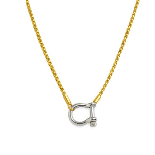 Hollywood Sensation Lucky Lock Carabiner Necklace Two Tone Mixed Metal Horseshoe Pendant Chain