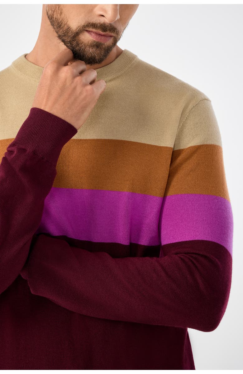 MR TURK Romero Slim Fit Color Block Crewneck Sweater, Alternate, color, Elderberry Multi