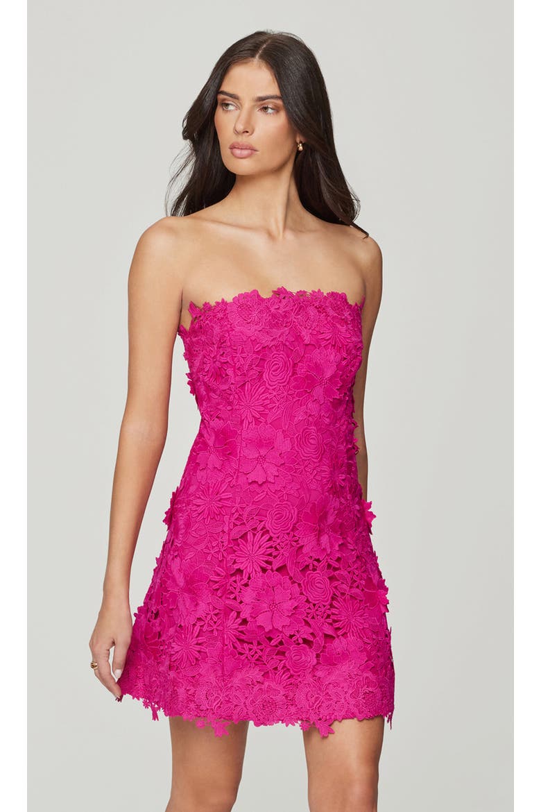 Lydia 3D Lace Dress, Alternate, color, Hibiscus