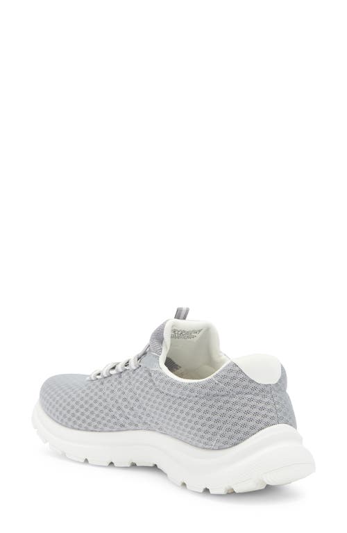 Danskin Lace-up Knit Sneaker In Grey/white