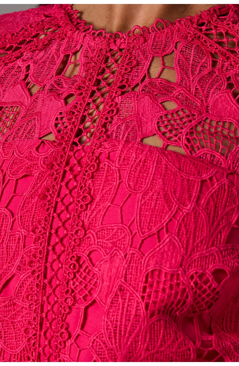 Coast Lace Panelled Long Sleeve Dress, Alternate, color, Raspberry