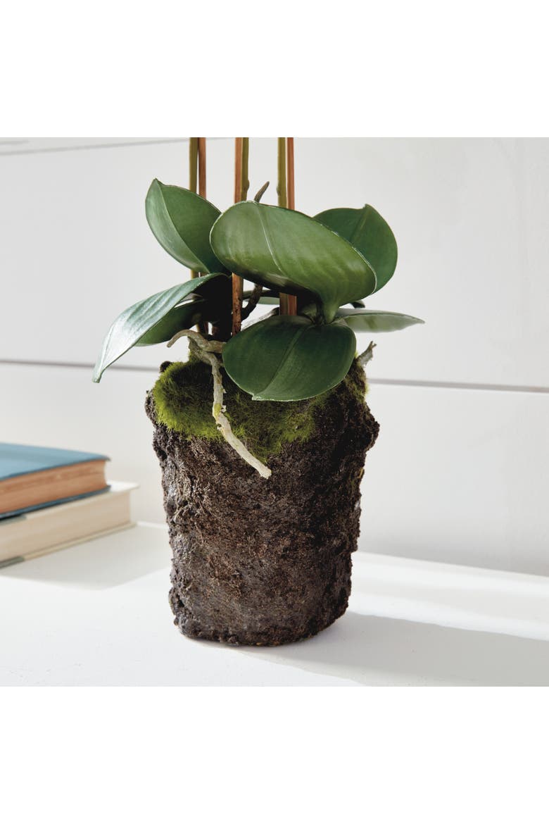 Phalaenopsis Orchid Faux (Fake) Drop-In 20", Alternate, color, White