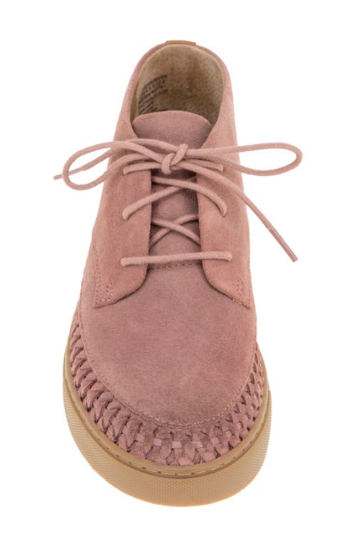 Gentle Souls Cacti Chukka Sneaker In Pink