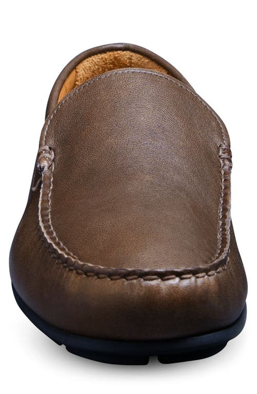 Allen Edmonds 'boulder' Driving Loafer In Brown