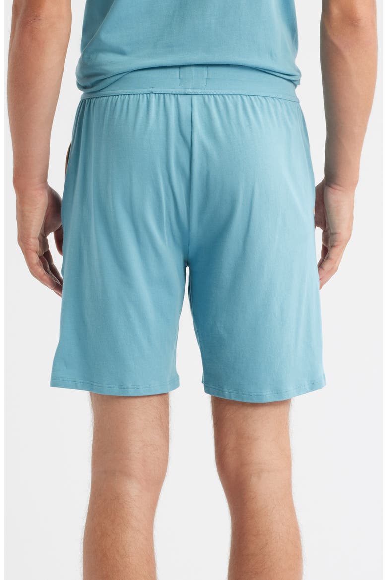 Unique Stretch Cotton Pajama Shorts, Alternate, color, LIGHT/ PASTEL BLUE