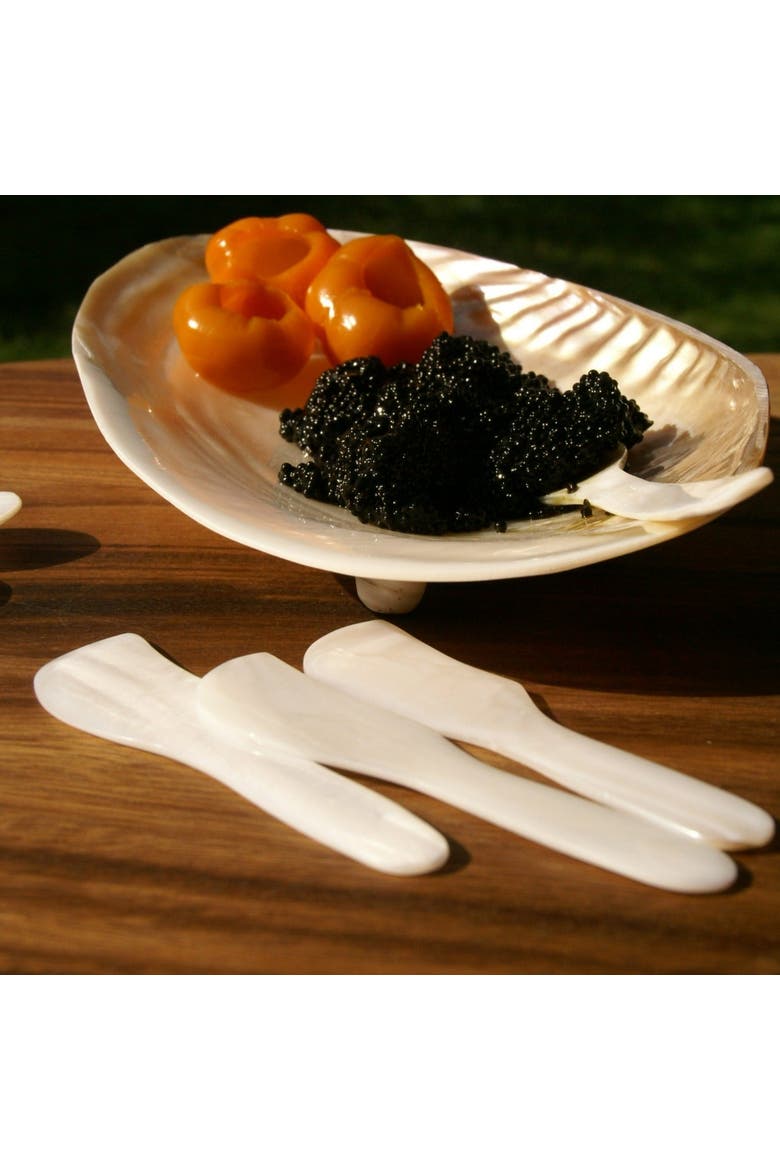 Shell Spreaders - Set of 4, Alternate, color, Pearl