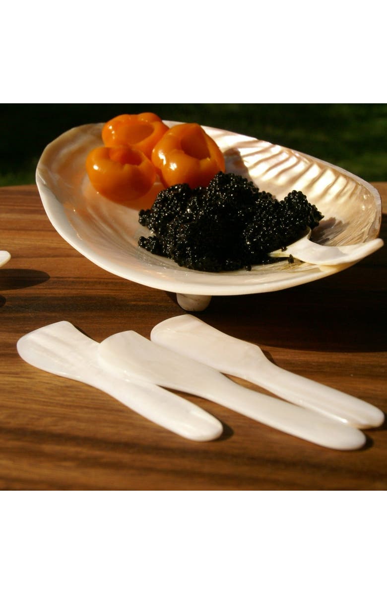 Be Home Shell Spreaders - Set of 4, Alternate, color, Pearl