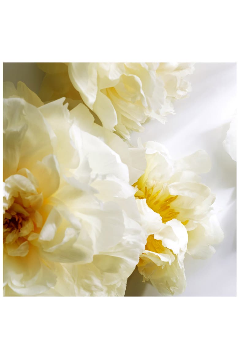 Signature Eau de Parfum Rollerball, Alternate, color, NO COLOR