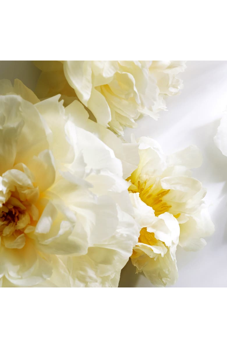 Michael Kors Signature Eau de Parfum Rollerball, Alternate, color,