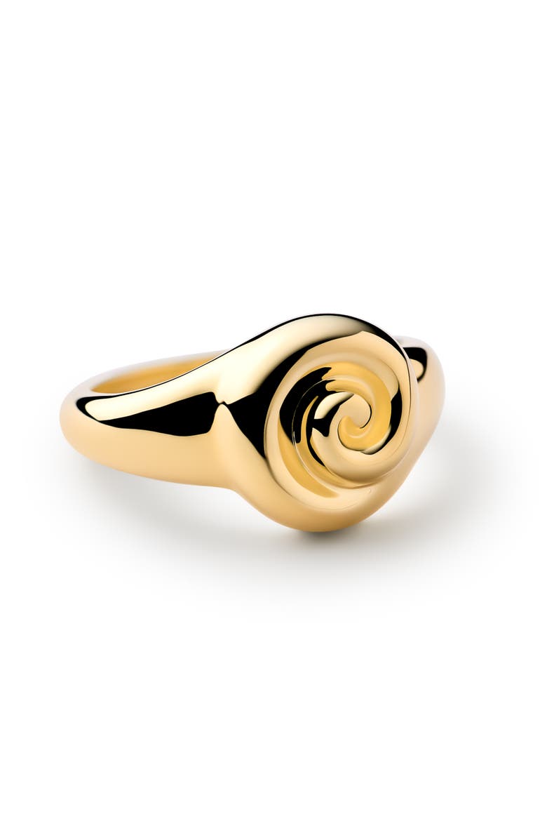 Gold Signet RIng - Ariel Ring, Alternate, color, Gold