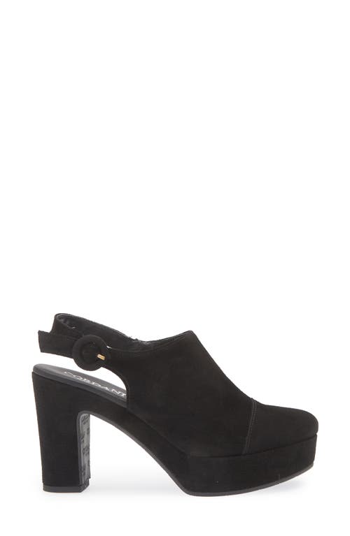 Cordani Tessa Block Heel Clog In Black