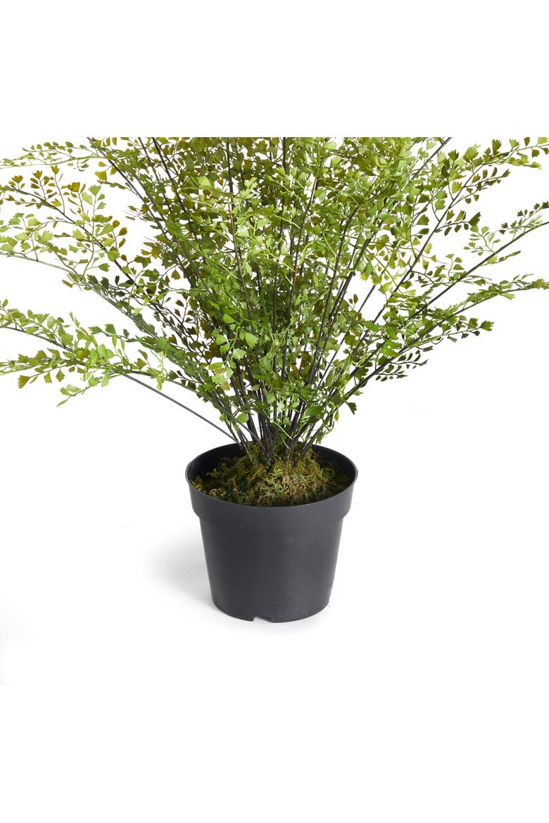 Maidenhair Drop-In 30", Alternate, color, Green