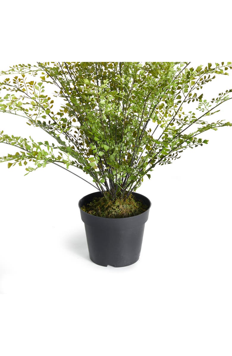 Napa Home & Garden Maidenhair Drop-In 30", Alternate, color, Green