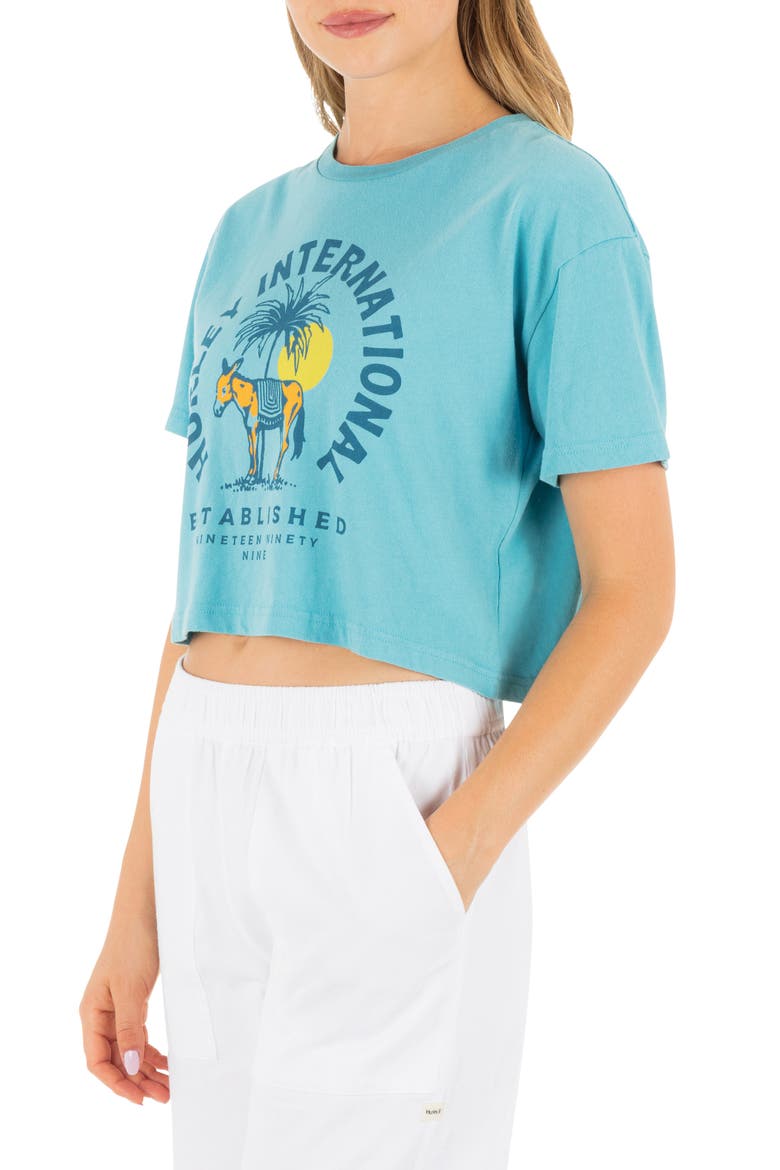 Burro Boxy Crop Cotton Graphic T-Shirt, Alternate, color, MAUI BLUE