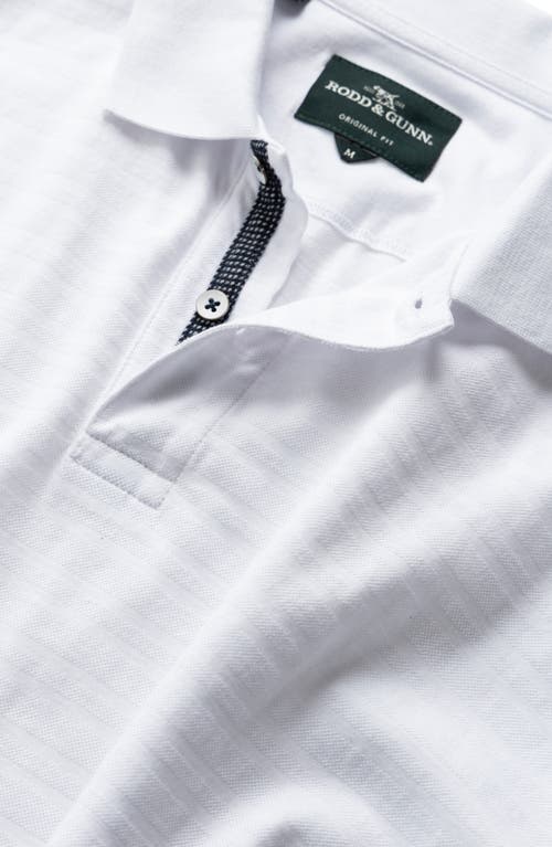 Rodd & Gunn Evans Bay Polo In White