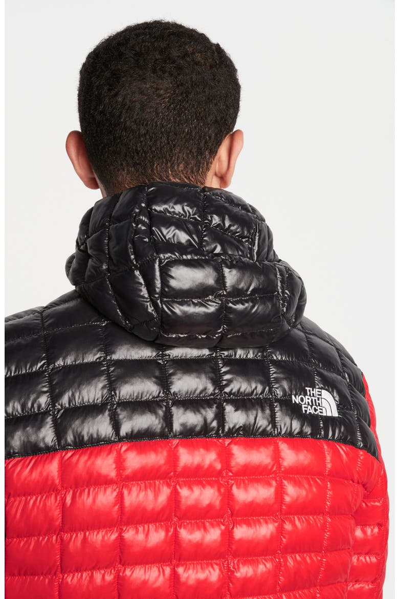 ThermoBall™ Eco Hooded Parka, Alternate, color, TNF BLUE/ TNF BLACK