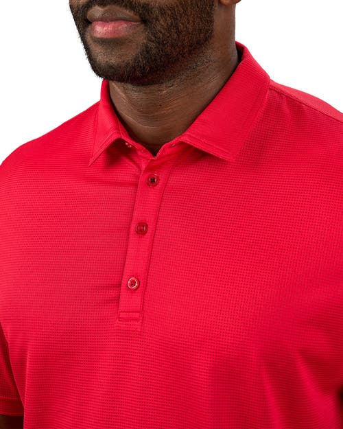 Black Clover Tubbs Polo In Red