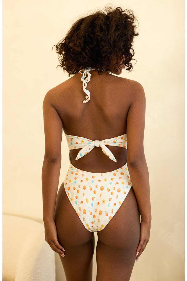 Wave Rider Adjustable Tie One Piece, Alternate, color, Clementine