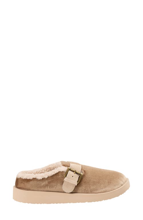 Revitalign Gift Velvet Faux Shearling Lined Slipper In Brown