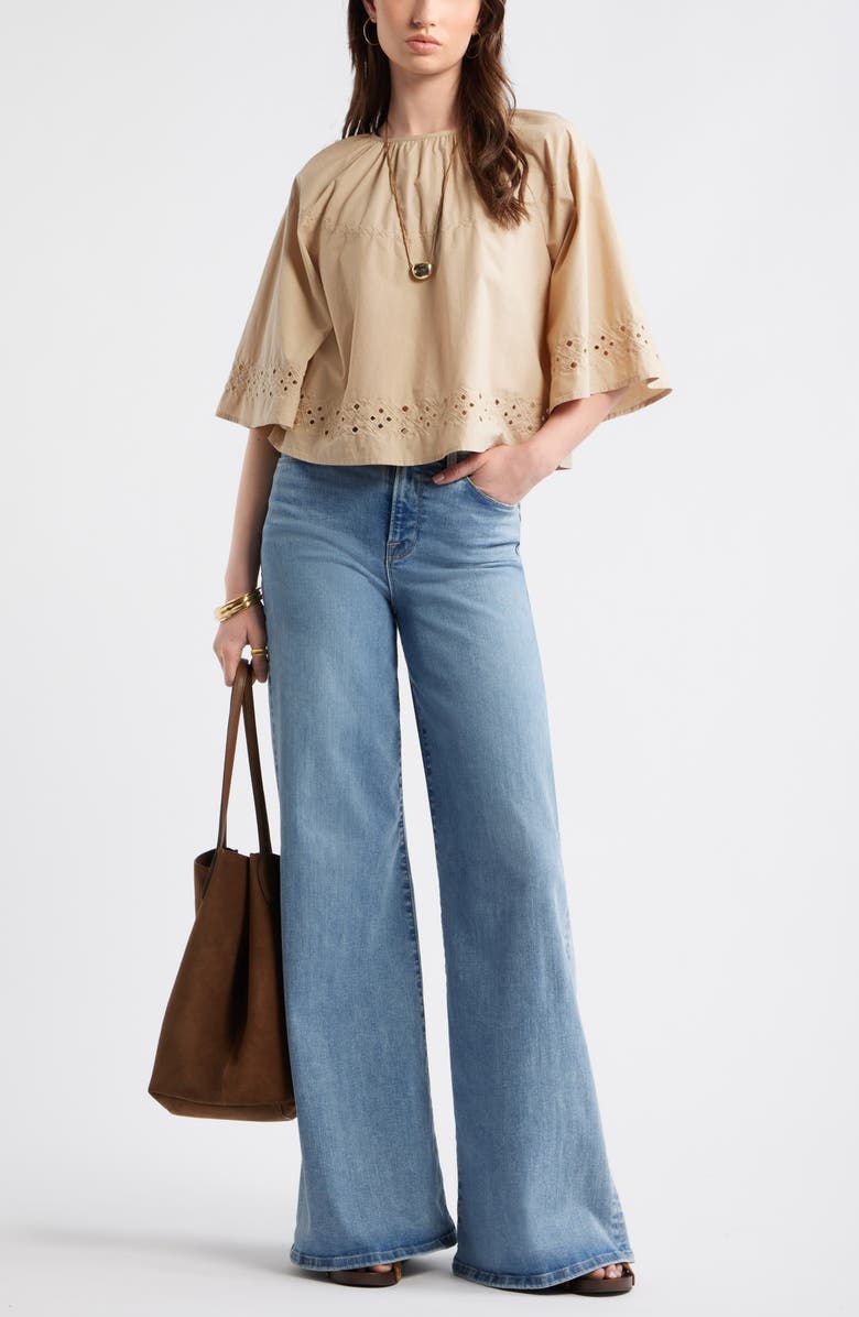 Treasure & Bond Eyelet Embroidered Poplin Swing Top, Alternate, color, Beige Humus