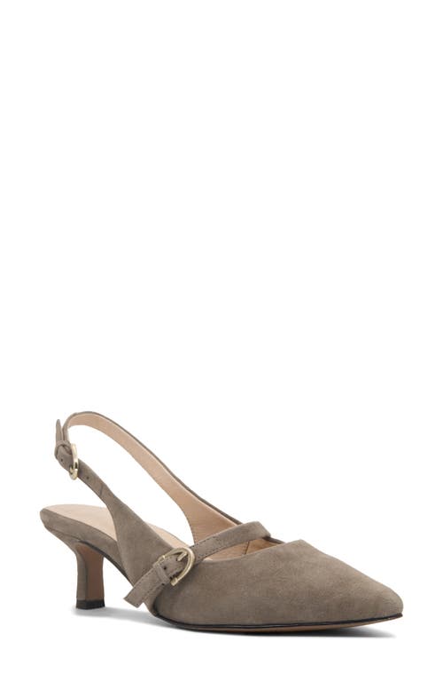Frankie4 Coco Slingback Pointed Toe Kitten Heel Pump In Brown
