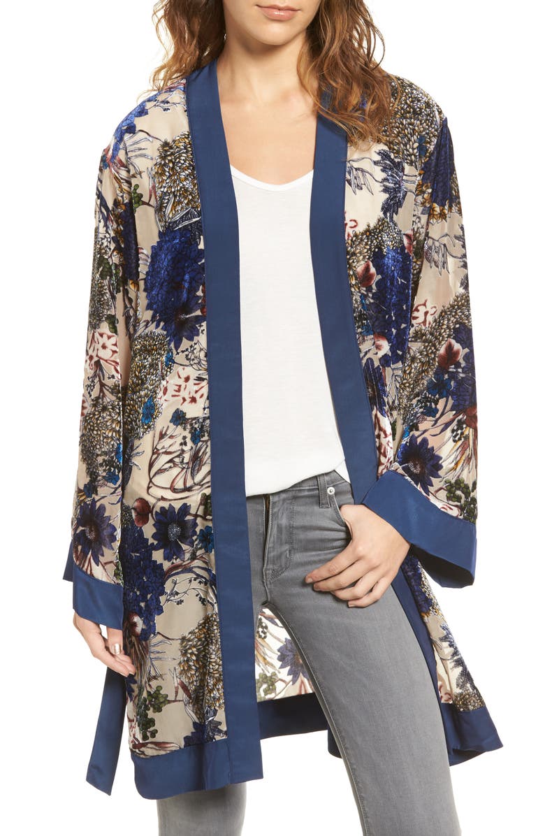 Willow & Clay Velvet Burnout Robe, Main, color, 