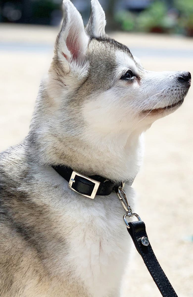 Shaya Taylor Leather Collar, Main, color,