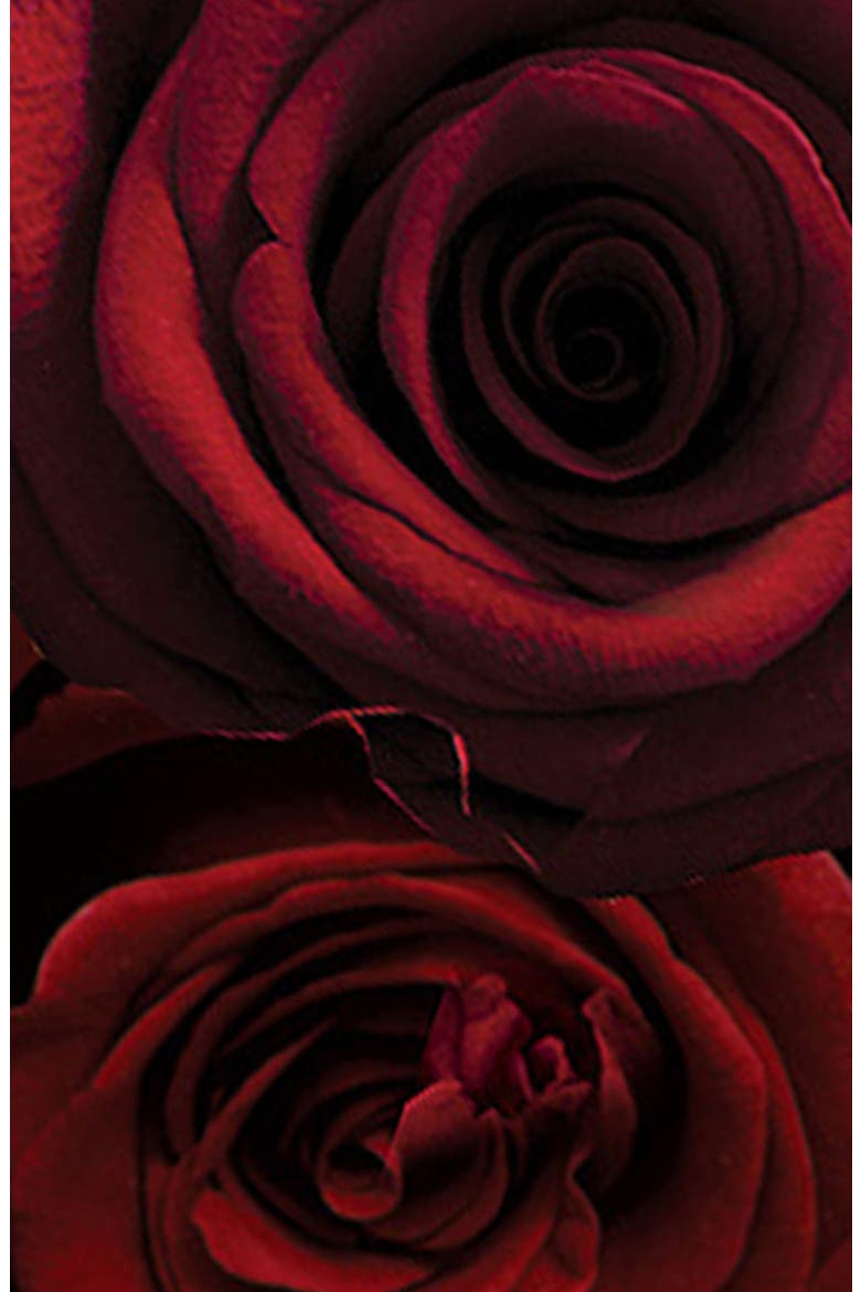Red Roses Scent Surround Diffuser, Alternate, color, NO COLOR