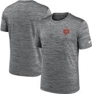 Nike Men's Nike Anthracite Chicago Bears Velocity Performance T-Shirt