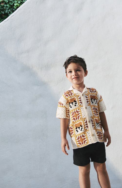 Next Kids' Knit Tiger Button-up Shirt In Multi