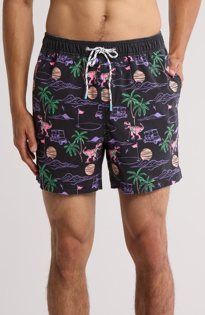 Party Pants Big Putt Swim Trunks, Main, color,